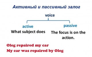 Пассивный залог в английском языке презентация