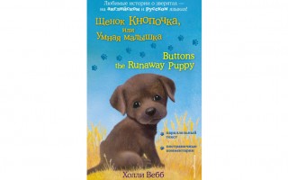 Щенок Кнопочка, или Умная малышка / Buttons the Runaway Puppy
