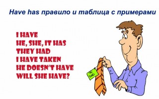 Have has презентация