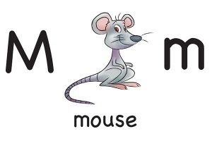Карточка на английском mouse