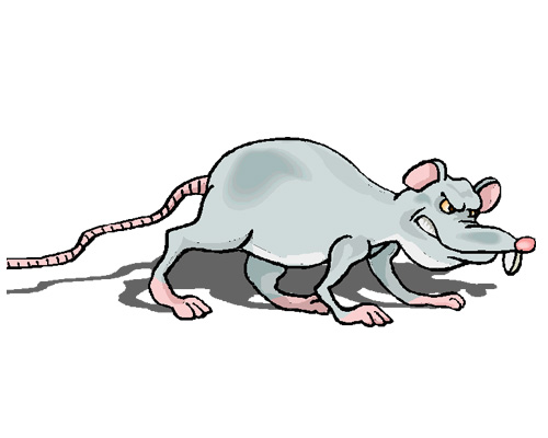 Крыса по-английски - a rat