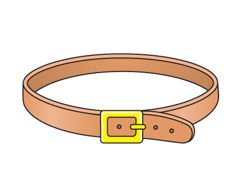 belt [belt] - переводится, как ремень, пояс 