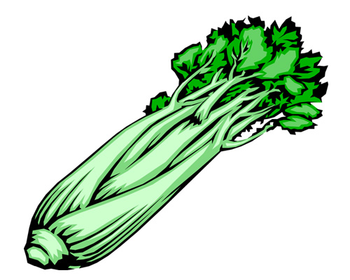 Сельдерей по-английски - celery [ˈselərɪ]