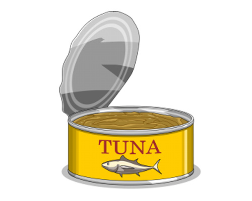 a tin of fish