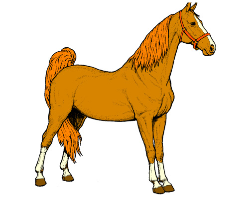 a horse neighs - лошадь ржет - to neigh [neɪ] - ржать