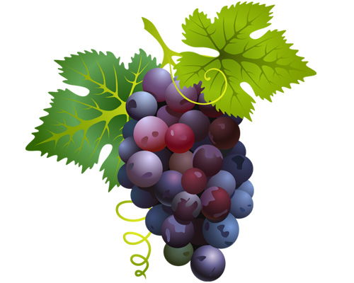 Гроздь винограда по-английски - a bunch of grapes